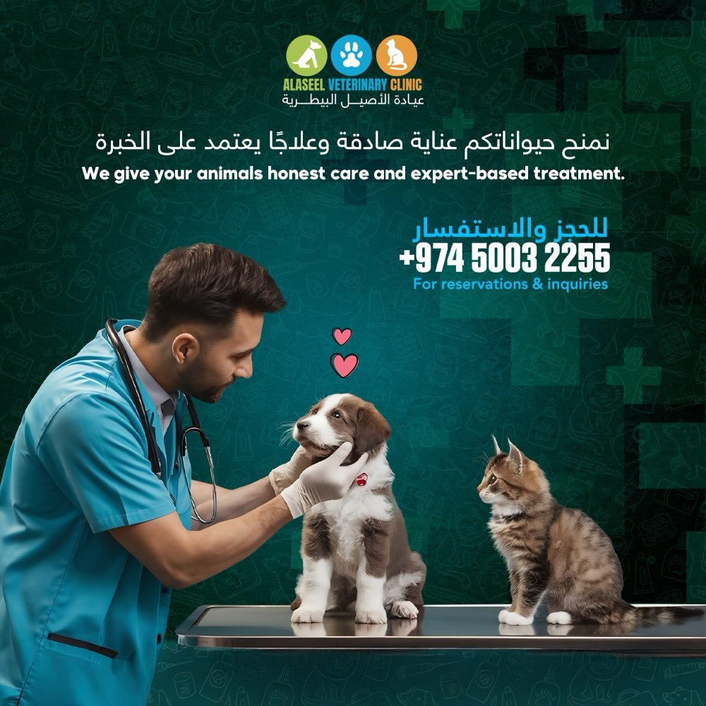 al aseel veterinary clinic doha qatar
